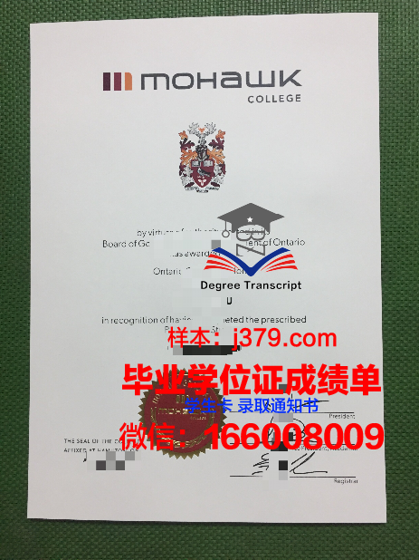 莫霍克应用艺术与技术学院研究生毕业证(莫霍克工业)