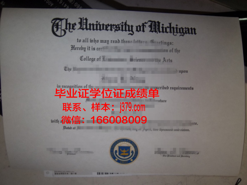 秋明国立建筑大学硕士毕业证:一份跨越国界的学术荣耀