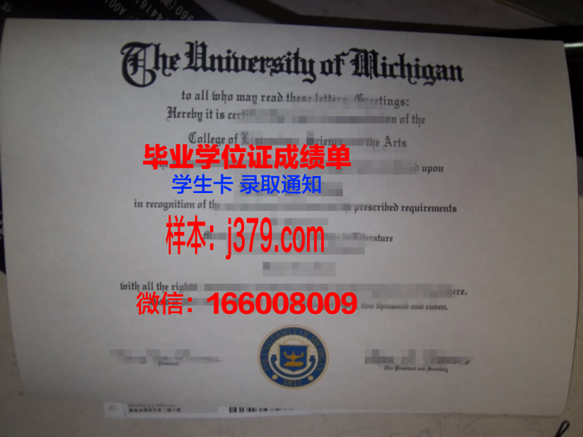 大学毕业证皮子:一份珍贵的青春记忆