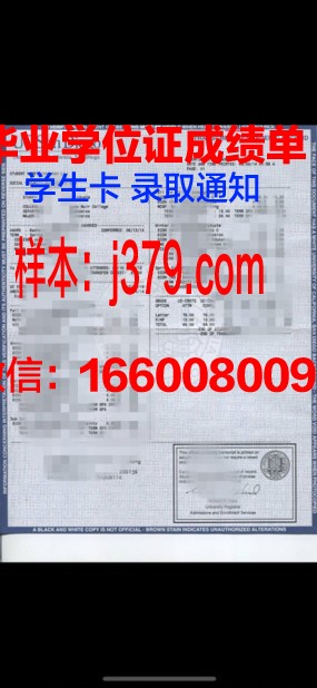 星大成绩单:探索星辰大海的青春轨迹