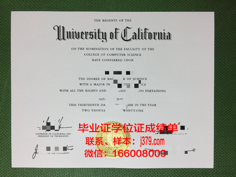 蒙特爱立森大学毕业证模板 Mount Allison University Diploma