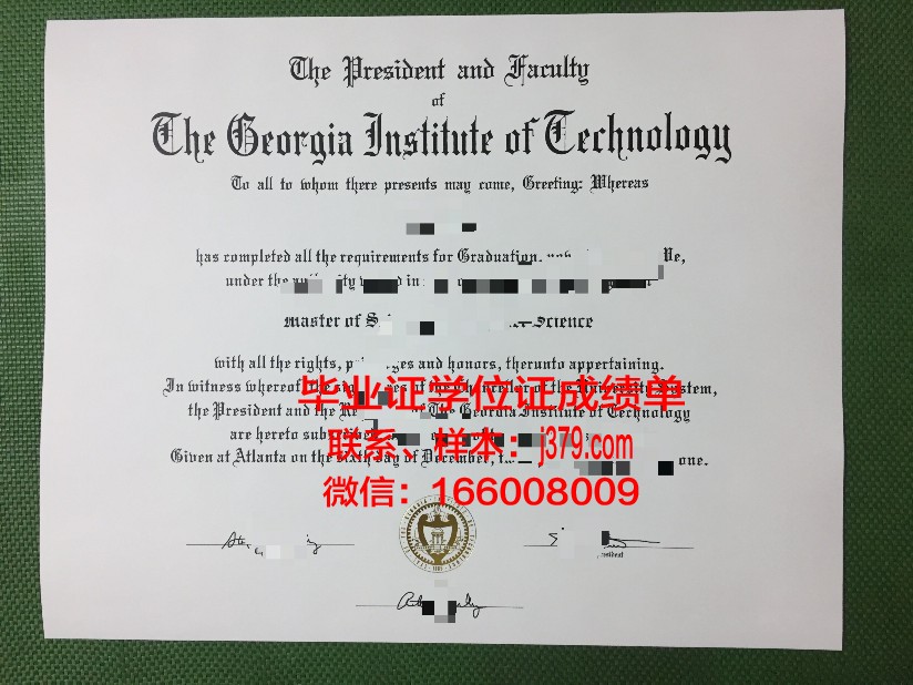 莱茵曼应用技术大学毕业证书模板(莱茵理工学院)