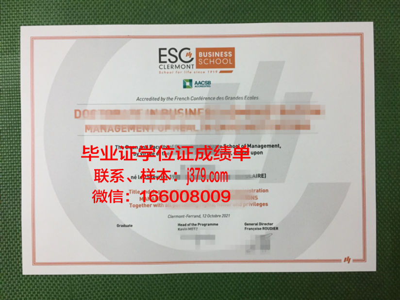明尼苏达大学毕业学位