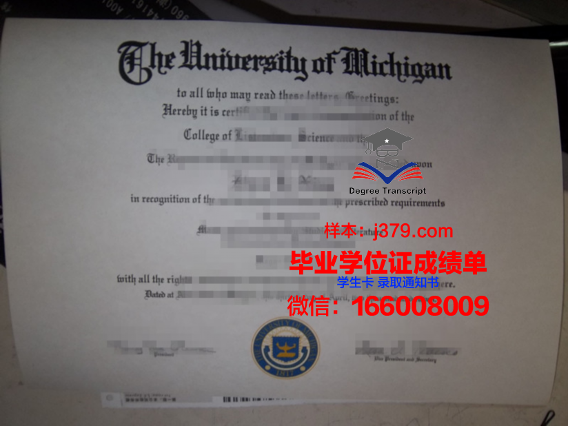 蓝色的大学毕业证(蓝色壳子的毕业证)