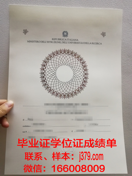 西兰商务与技术学院的毕业证啥样