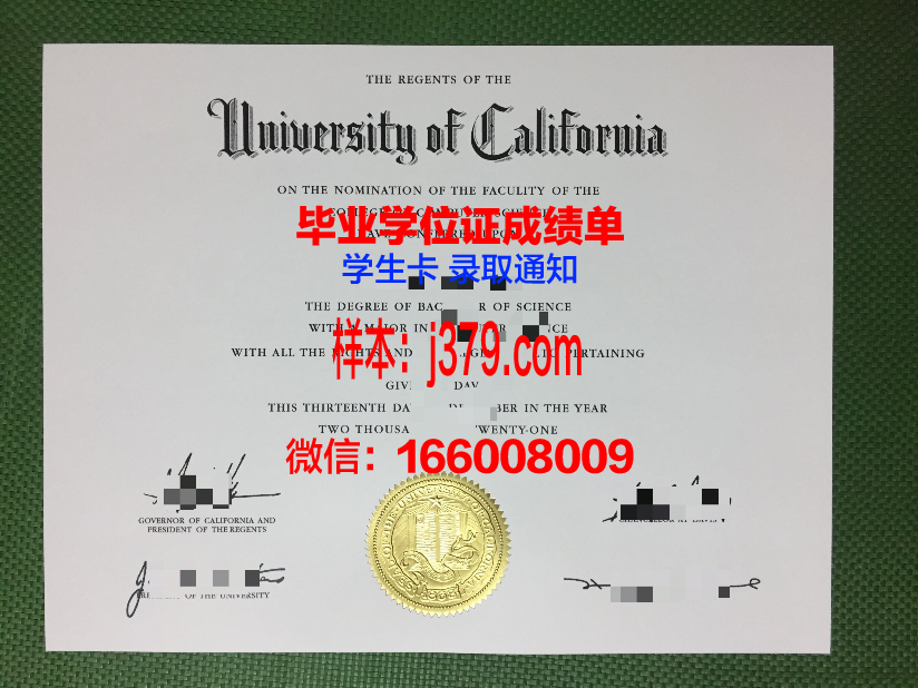 普大毕业证:一张纸的重量与价值