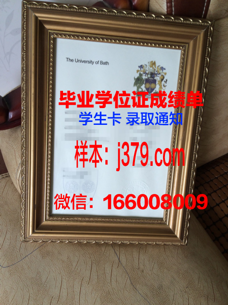 巴斯本科毕业证:承载荣誉与梦想的证书