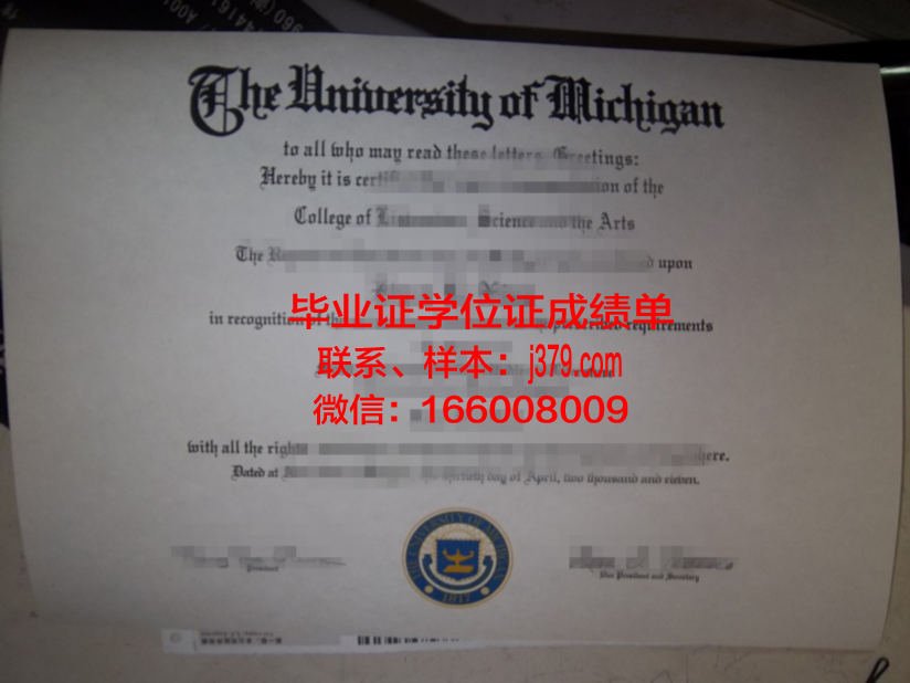 虚假国外毕业证拘留(假外国大学毕业证)