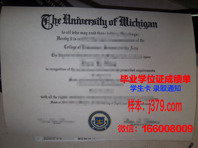 碧瑶大学毕业证壳子(大学毕业证长啥样)