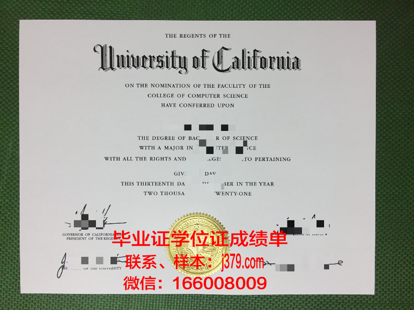 明尼苏达大学双城分校硕士毕业证(明尼苏达大学毕业典礼)