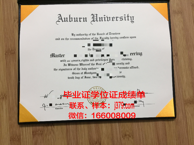 莱奥本矿业大学毕业证成绩单:一份承载荣誉与努力的证明
