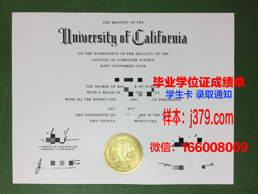 普罗旺斯大学毕业证定制:追寻学术荣耀的匠心之作