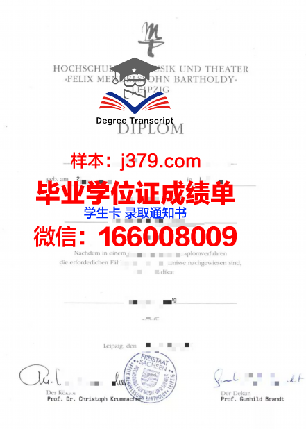 莱比锡技术经济与文化应用技术大学毕业证长什么样(莱比锡应用技术大学1+1)