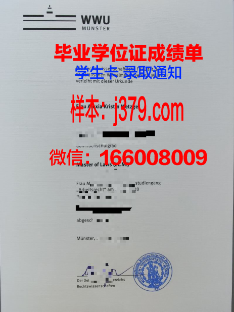 明斯特艺术学院成绩单(明斯特大学bwl)