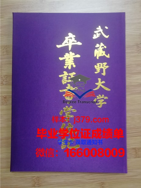 莱索夫学院毕业证壳子