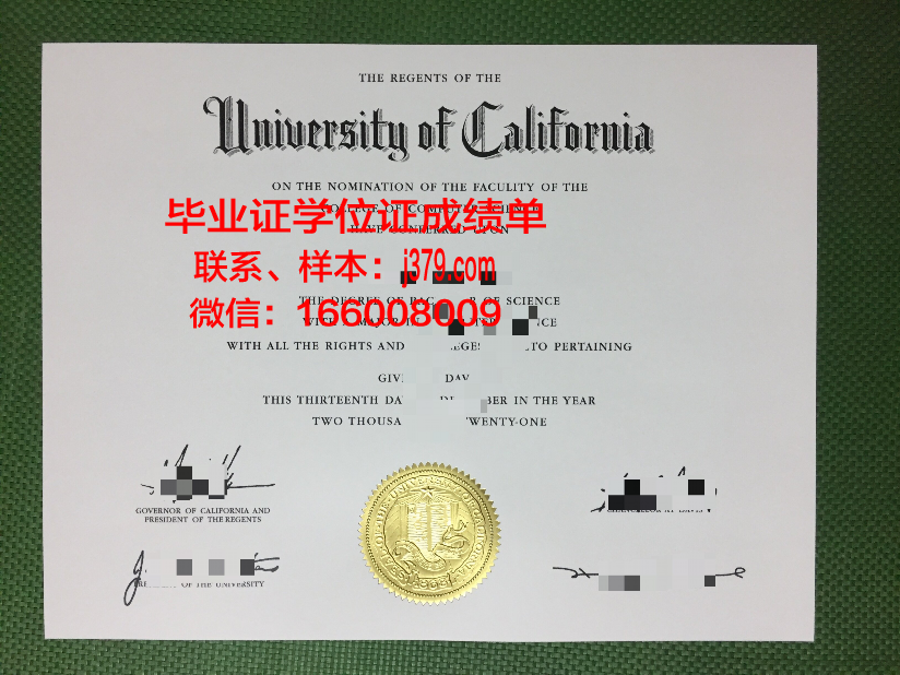 莱茵曼应用技术大学本科毕业证:开启职业生涯的钥匙