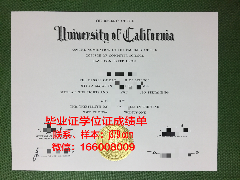 巴拉那联邦大学硕士毕业证:开启国际化教育新篇章