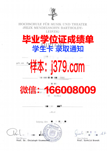 莱比锡HHL管理学院毕业证图片(莱比锡大学含金量)