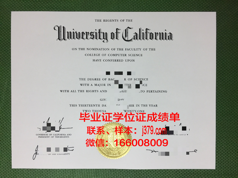 星城大学毕业证模板(城市学院的毕业证)