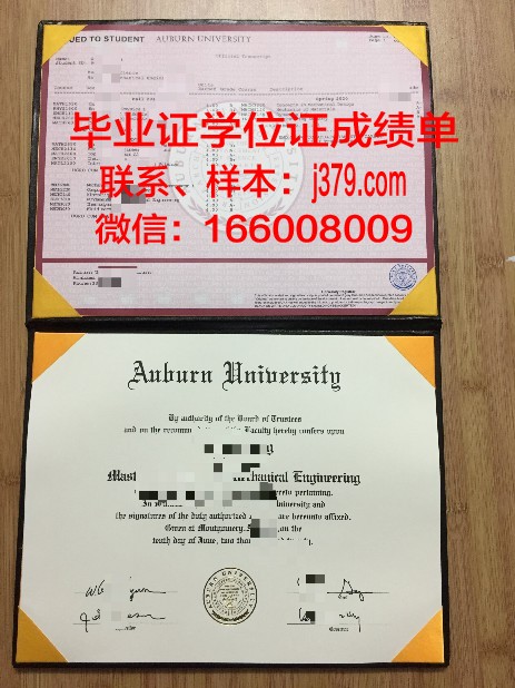 莱奥本矿业大学硕士毕业证书样本(莱奥本矿业大学qs排名)