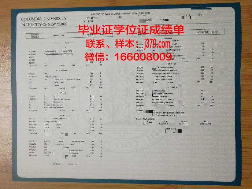 大神大学学位成绩单定制:打造个性化学术成果的利器