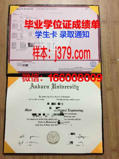 莱奥本矿业大学毕业证高清图(奥地利莱奥本矿业大学)