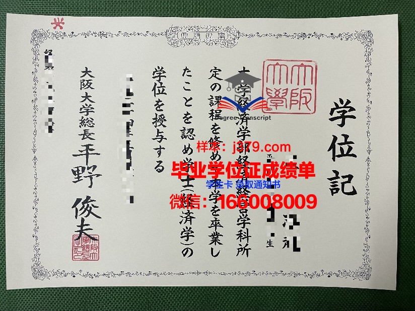 大阪大学硕士毕业证:跨越国界的学术荣耀