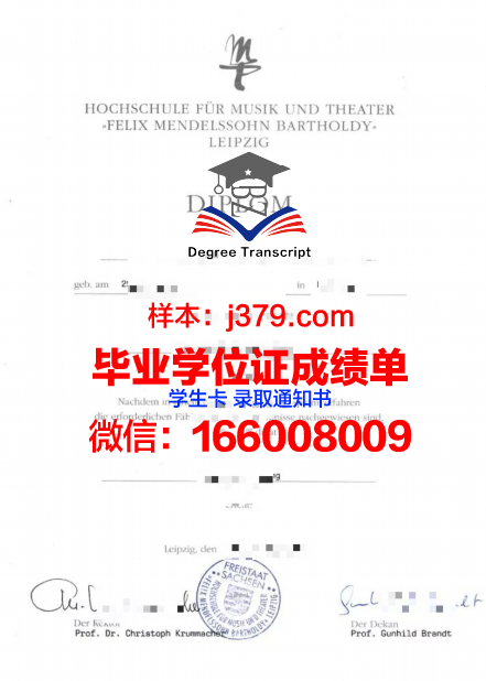 莱比锡HHL管理学院毕业证样本(莱比锡大学mba)
