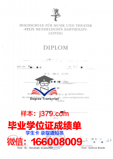 莱比锡技术经济与文化应用技术大学成绩单(莱比锡大学经济学)