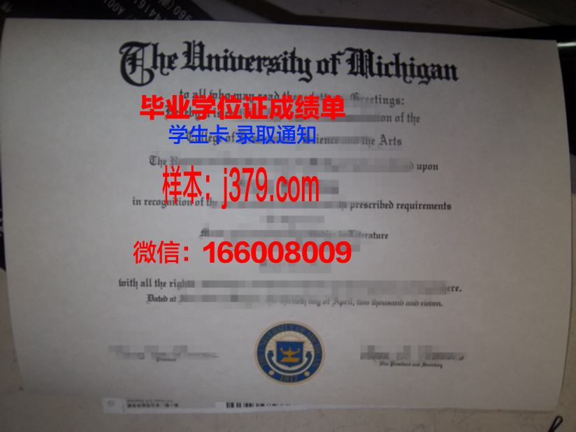 巴拉那联邦大学硕士毕业证:开启国际化教育新篇章