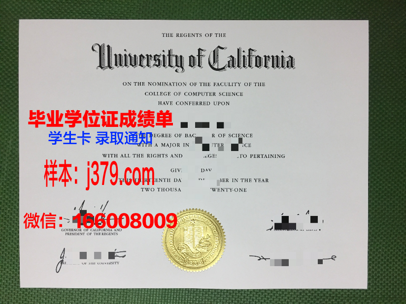 明尼苏达大学德卢斯分校毕业文凭