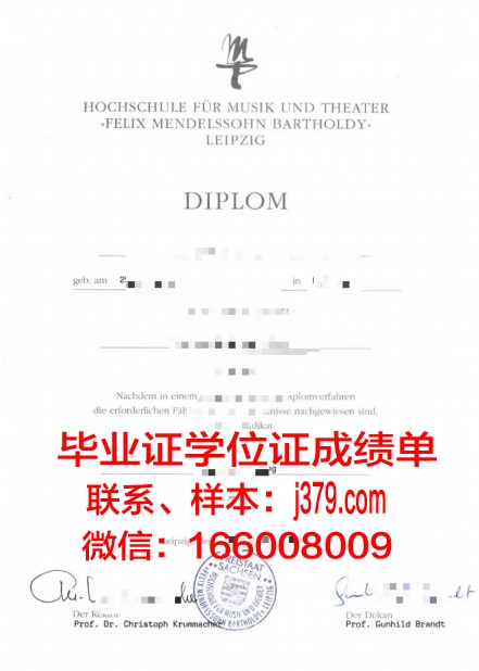 莱比锡HHL管理学院毕业证图片(莱比锡大学含金量)