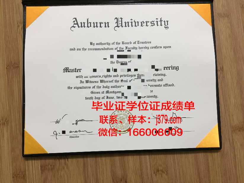 莱奥本矿业大学毕业证高清图(奥地利莱奥本矿业大学)