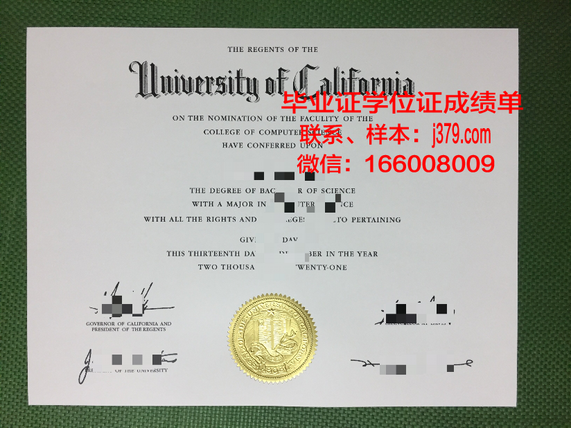 明尼苏达大学双城分校毕业证书图片模板(明尼苏达大学双城分校商学院排名)