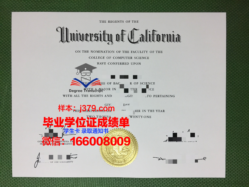种智院大学毕业证认证成绩单Diploma
