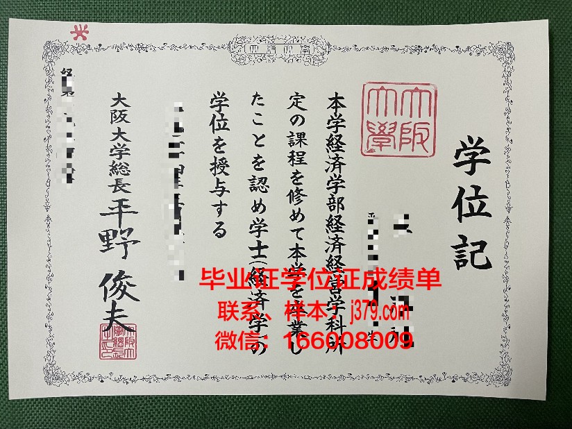 大阪国际大学学位成绩单定制:追求真实与诚信的探索之路