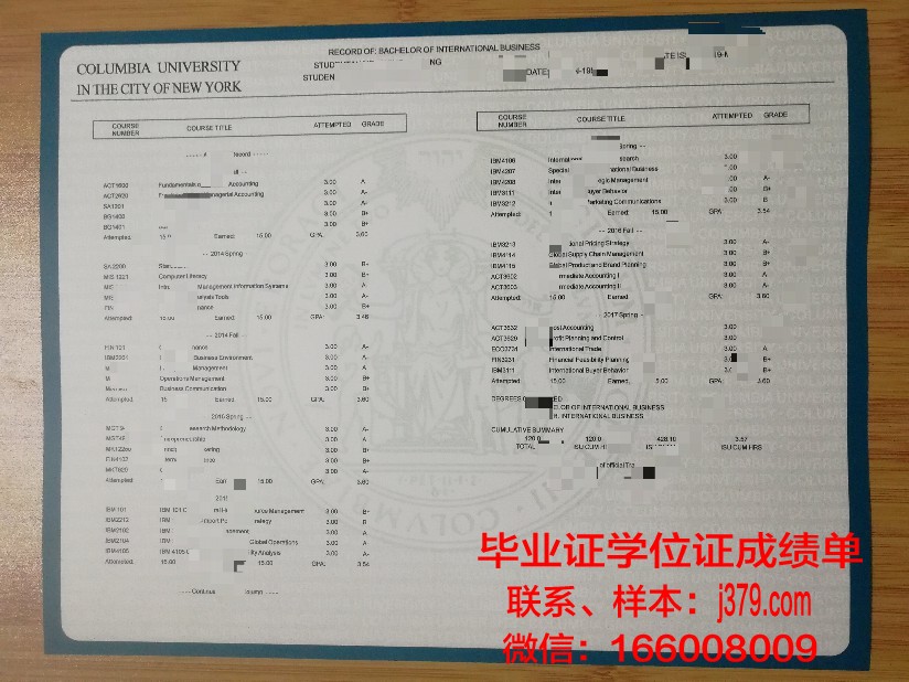 大真大学成绩单:探索教育本质的反思之作