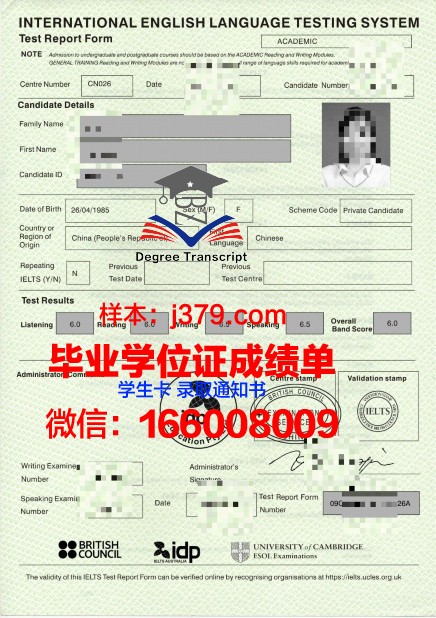大学生毕业证明怎么开电子版(大学生毕业证明怎么开电子版模板)