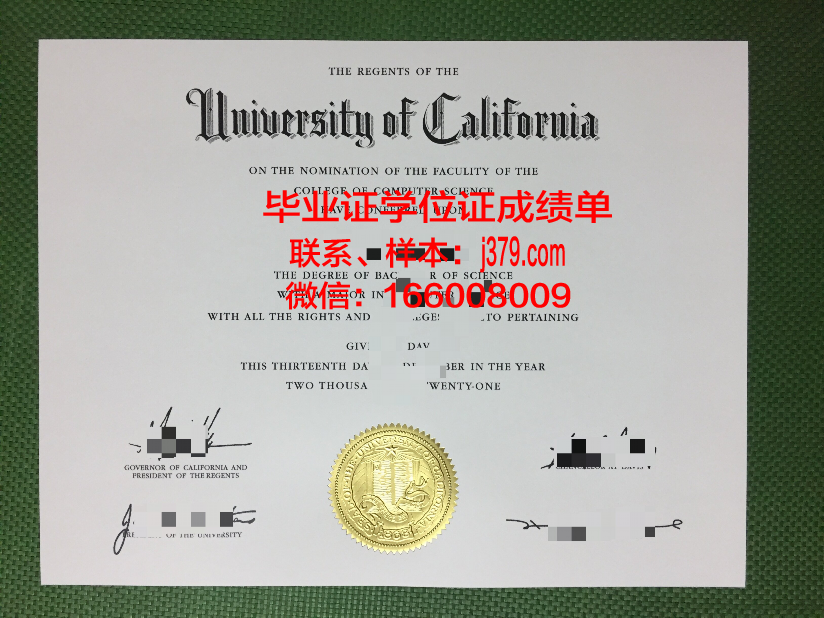 莱比锡大学(Lepziger U)毕业证成绩单:承载荣誉与梦想的纸笔见证