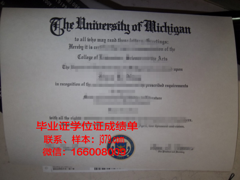 晨星大学毕业证图片(晨星ll照片)