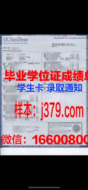 大真大学成绩单:探索教育本质的反思之作