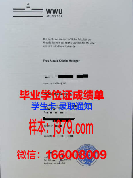 明斯特艺术学院学位证书(明斯特大学bwl)