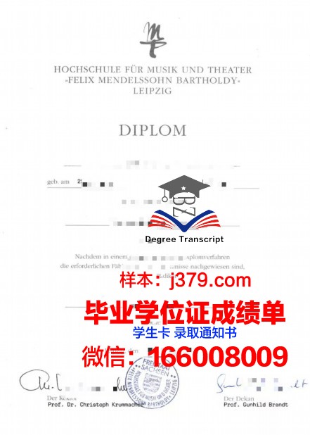莱比锡技术经济与文化应用技术大学成绩单(莱比锡大学经济学)