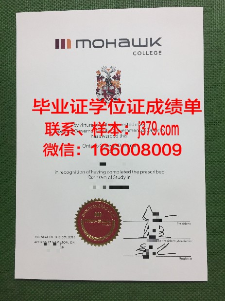 莫霍克应用艺术与技术学院毕业证书原件(莫霍克纸张)