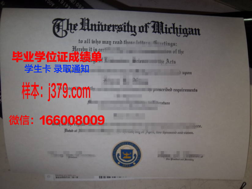 西南学院大学博士毕业证:知识与荣耀的象征