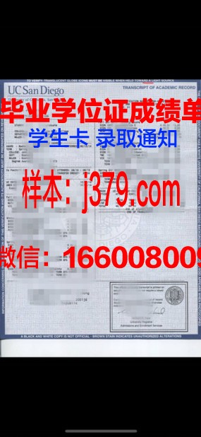 蒙特成绩单:揭示教育本质的启示录