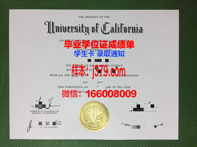 大阪大学毕业证外壳(日本大学毕业证丢了怎么办)