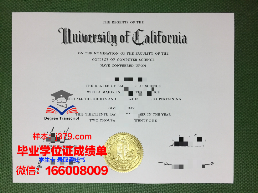 大都会州立大学毕业证防伪(都灵大学毕业证)