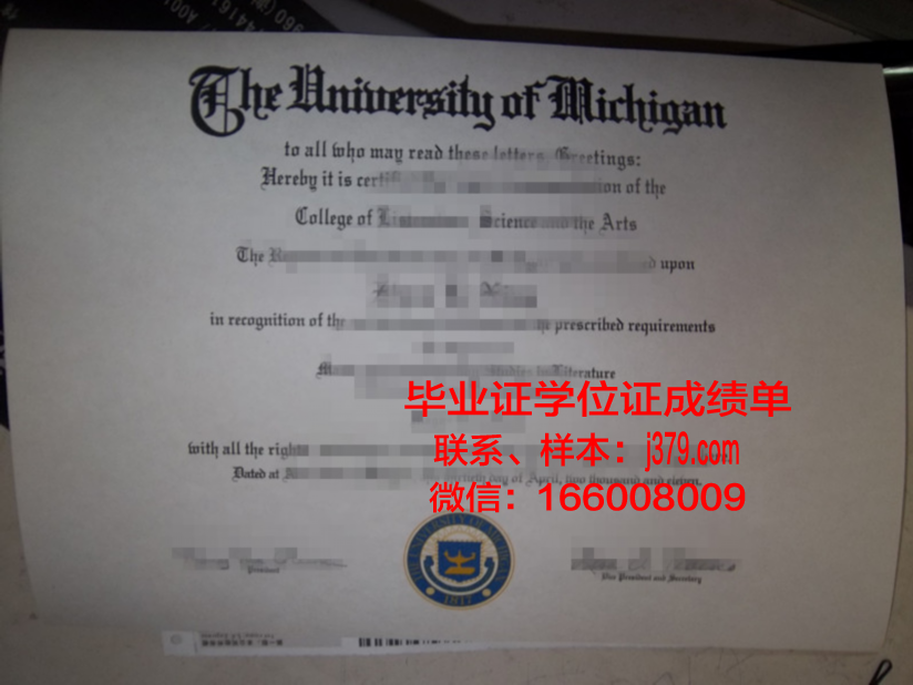 大本毕业证政治面貌一栏的困惑:团员与群众的抉择