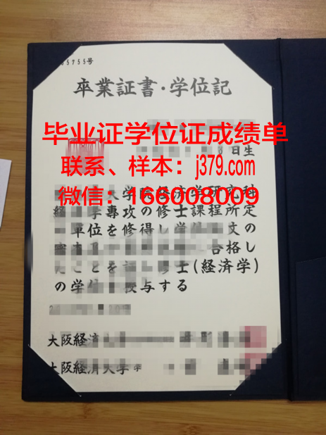 大阪市立大学毕业证
